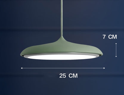 Nordic Modern LED Chandelier – Designer Fish-Style Pendant Light for Restaurant, Dining Room & Living Room
