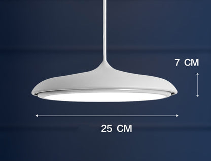 Nordic Modern LED Chandelier – Designer Fish-Style Pendant Light for Restaurant, Dining Room & Living Room